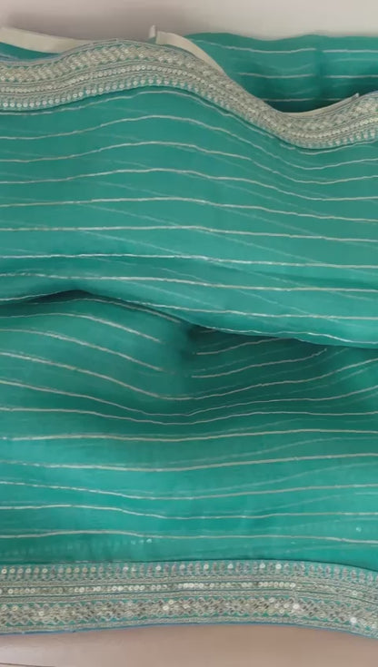 Nurjaha striped organza saree
