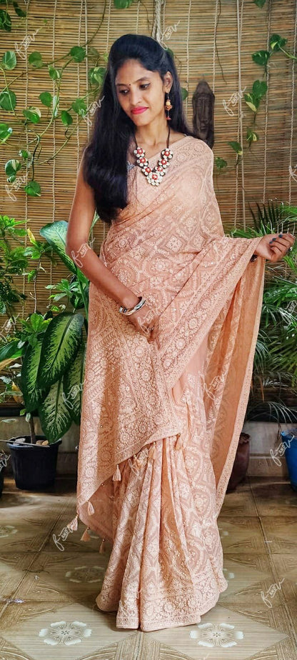 NoorJahan Chikankari saree Gorgette Sarees Indian sari