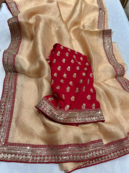 Kalkishi tissue organza saree