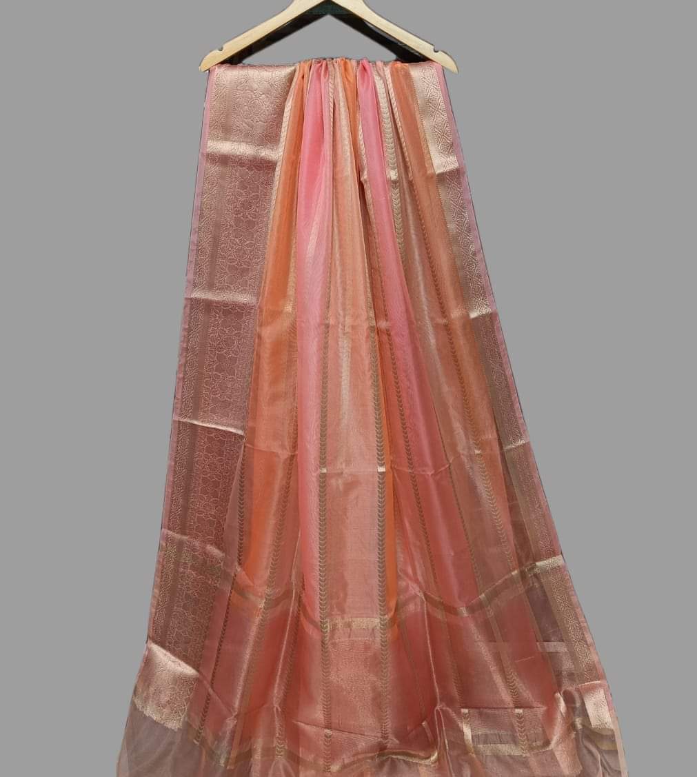 Tinisha Lehariya banarsi saree
