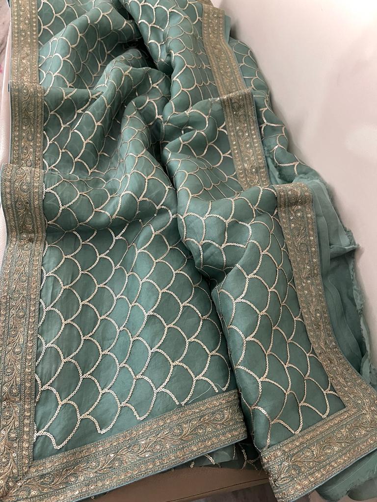 Lavina organza sequence saree