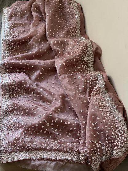 Susan organza katdana saree