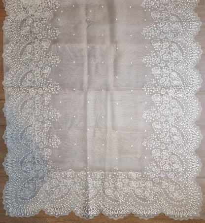 Scalloped inspired organza saree