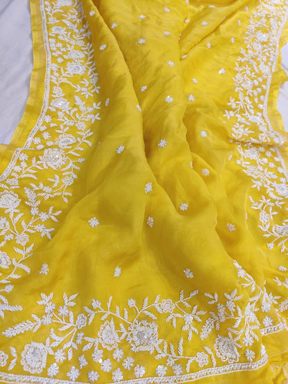 Madhavi zardosi organza saree