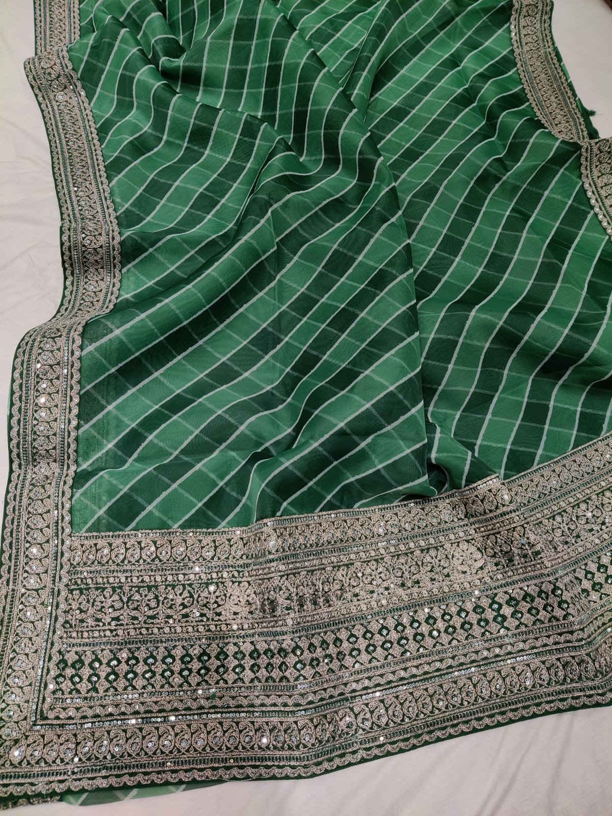 Nahida organza beautiful sari