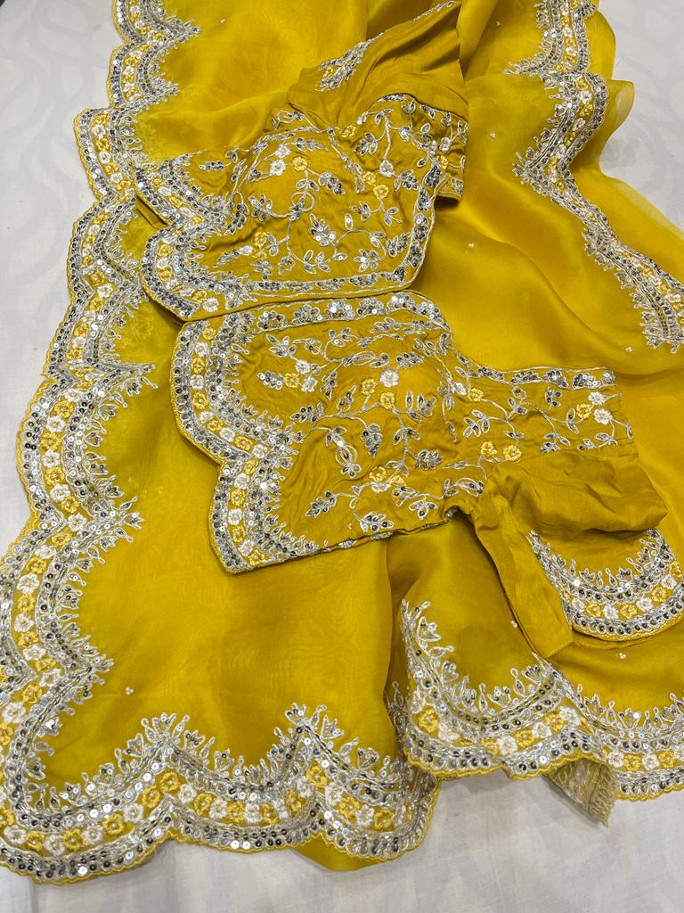 Sequence organza embroidery saree