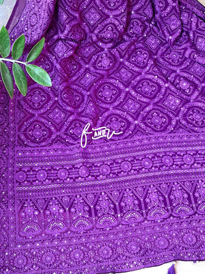 Isabelle gorgette chikankari saree