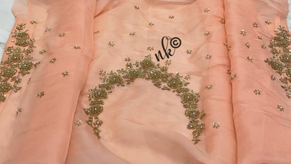 Zarkan inspired organza saree