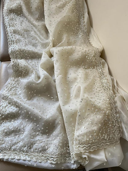 Susan organza katdana saree