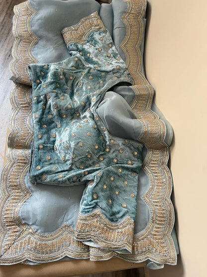 Lisa organza saree