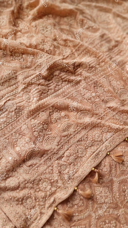 NoorJahan Chikankari saree Gorgette Sarees Indian sari