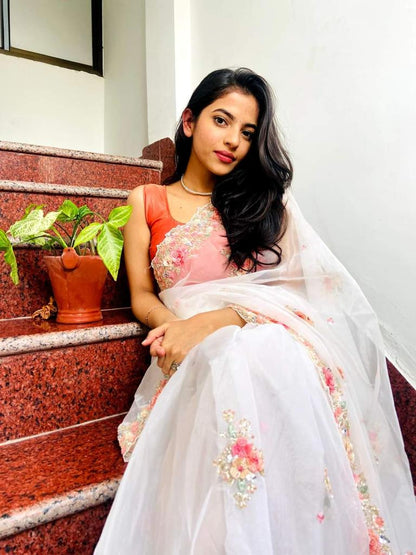 Dreamy organza saree