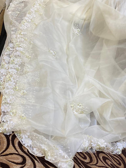 Fairly organza beautiful saree women sari