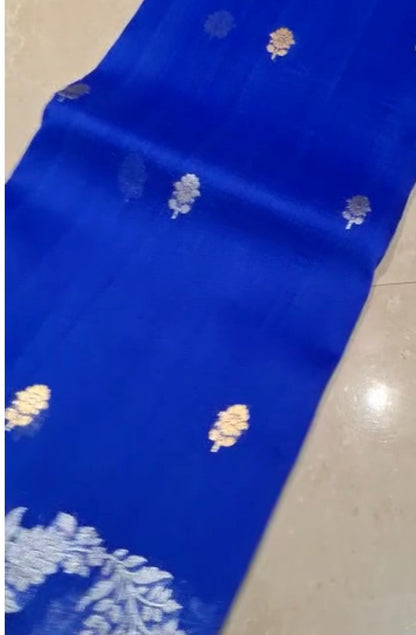 Kora handloom Banarsi saree