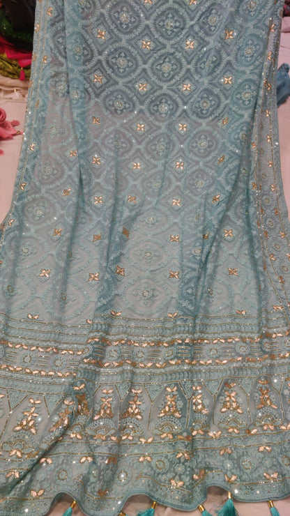 Ruhi chikankari saree