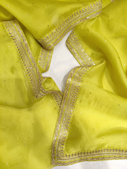 Kiwi organza sequence saree Indian sarees blouse women sari blouse