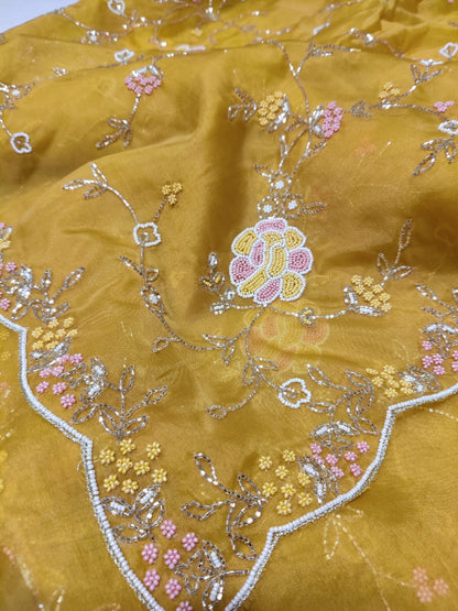 Fairly organza zardosi reception saree