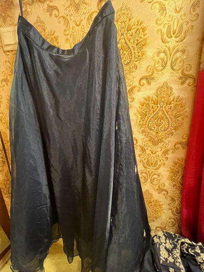 Highness inspired indowestern dress
