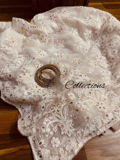 Vamsha chikankari embroidered saree