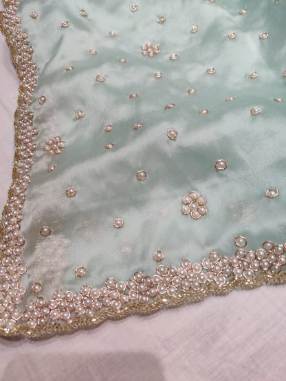 Pearl organza saree partywear saree woke sari blouse