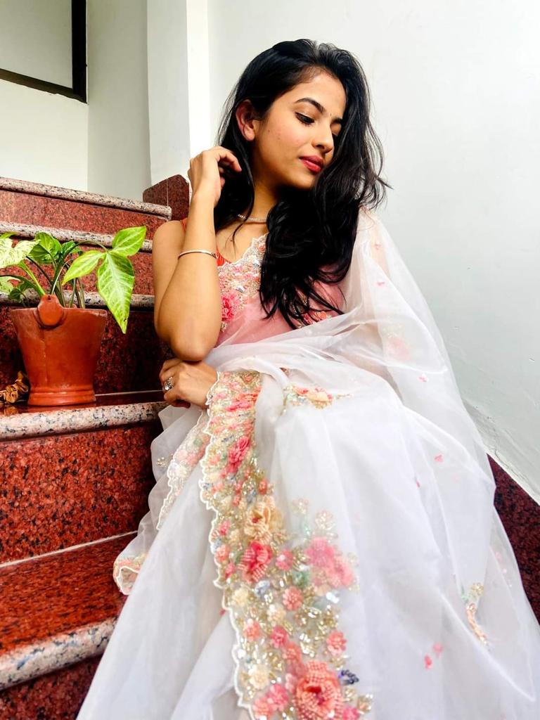 Dreamy organza saree