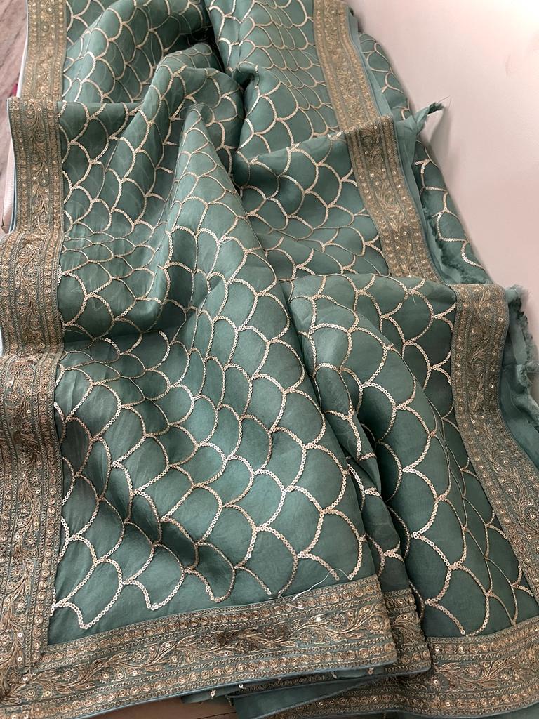 Lavina organza sequence saree