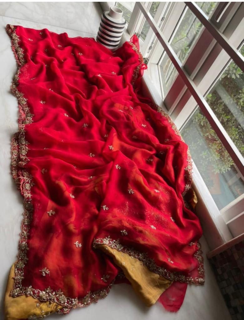 Rimi beautiful sari