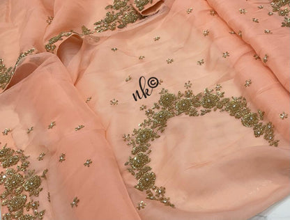 Zarkan inspired organza saree