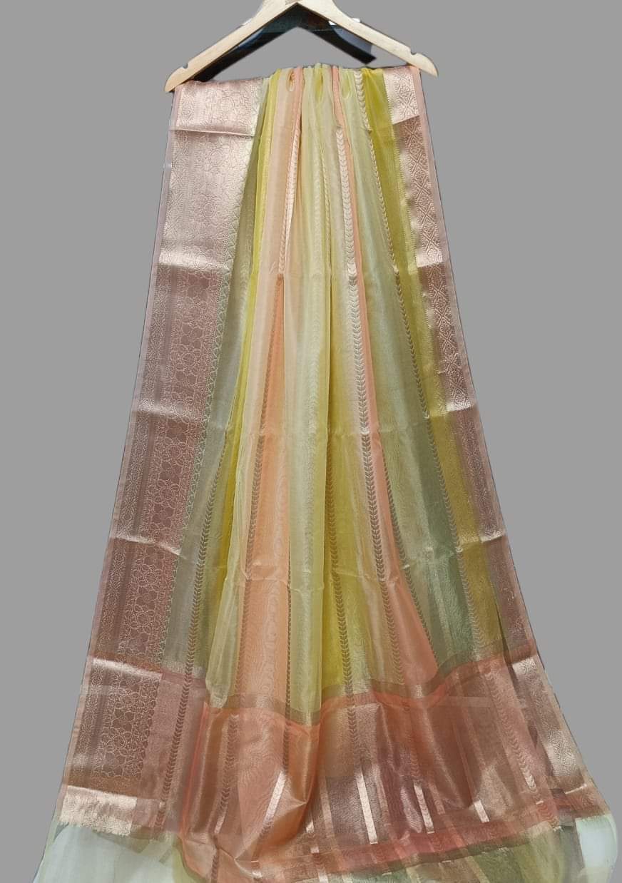 Tinisha Lehariya banarsi saree