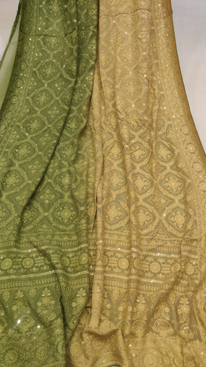 Dual shaded chikankari gorgette saree